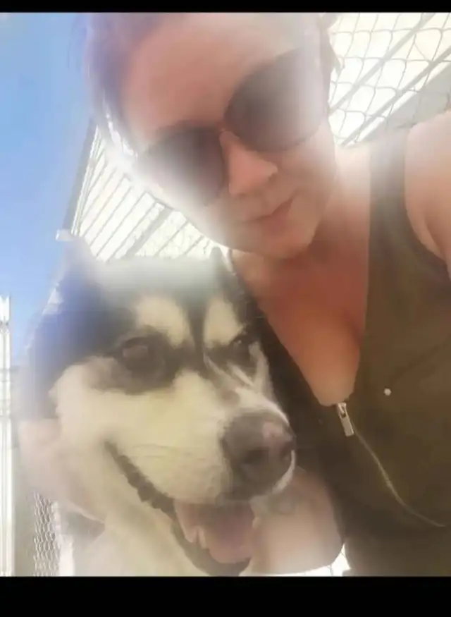 Pet Sitter/Dog Walker - Photo 2