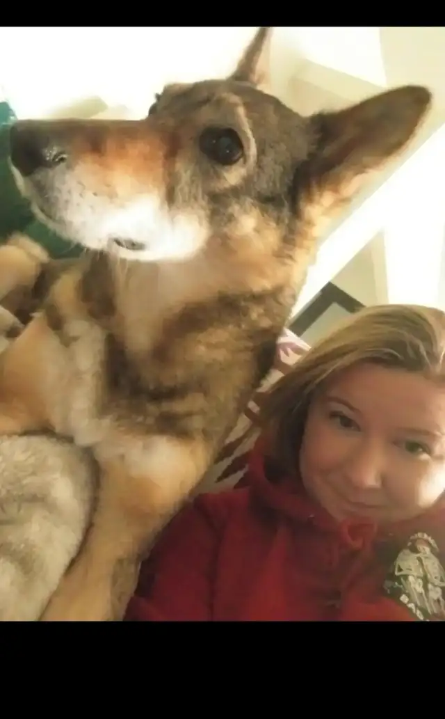 Pet Sitter/Dog Walker - Photo 6