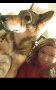 Pet Sitter/Dog Walker - Photo 6
