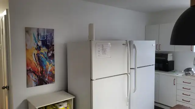 1er juillet près Cégeps Garneau, Ste-Foy et Université Laval - Photo 2