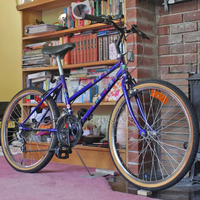 Sears Free Spirit mountain bike womens teen vintage 80s LIKE NEW - Photo 2