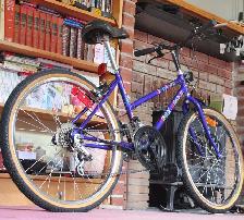 Sears Free Spirit mountain bike womens teen vintage 80s LIKE NEW - Photo 6