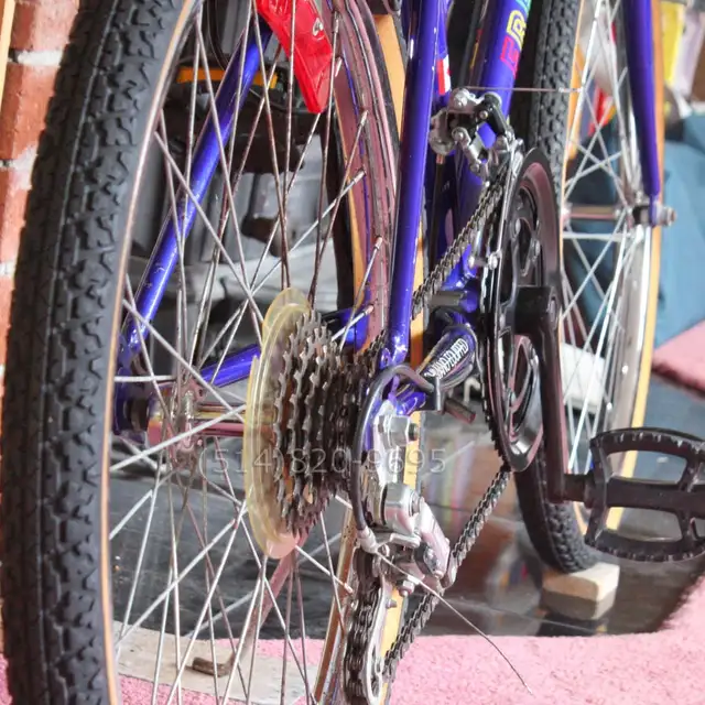 Sears Free Spirit mountain bike womens teen vintage 80s LIKE NEW - Photo 8