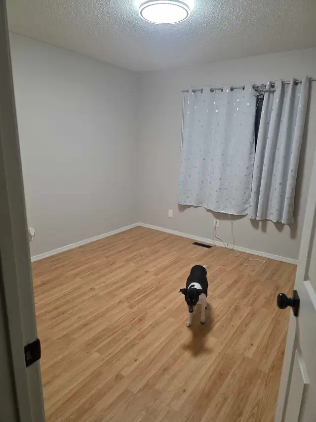 Room / 2 rooms / basement for rent - Photo 2