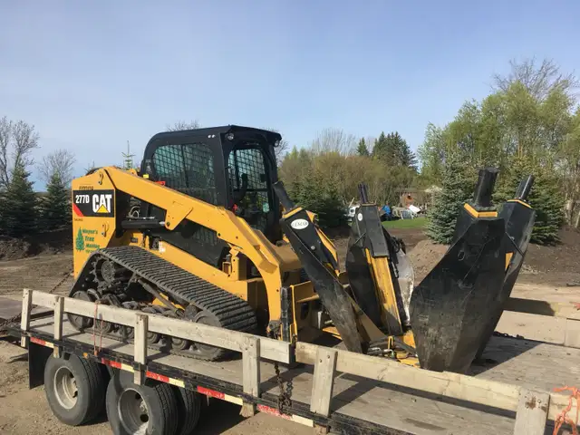 Trees for sale - Photo 8