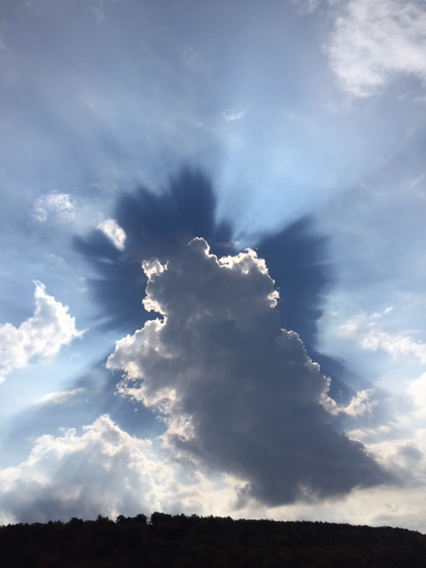 Father & Son looking for land to rent for Turkey Hunt