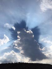 Father & Son looking for land to rent for Turkey Hunt