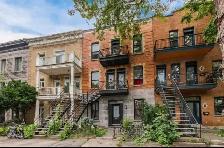 Large 5 ½ (3 bedrooms) available in le Plateau-Mont-Royal