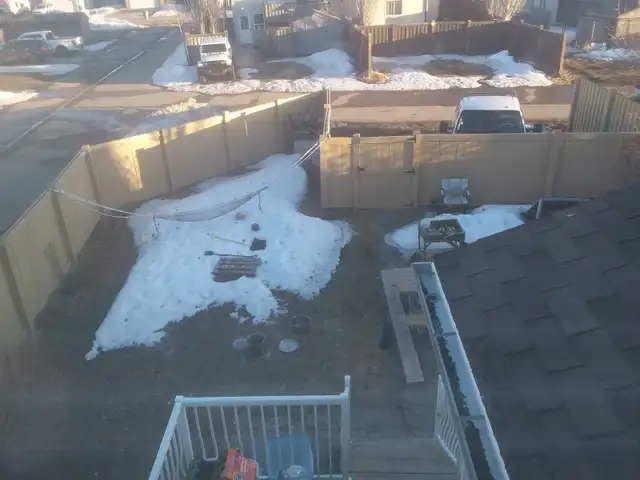 Dump runs,spring clean up, pressure washing