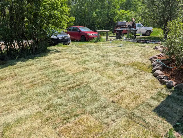 landscaping and fence - Photo 4
