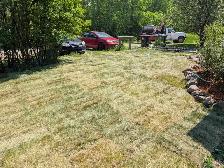 landscaping and fence - Photo 4