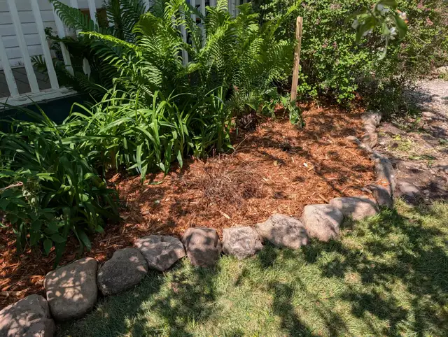 landscaping and fence - Photo 5