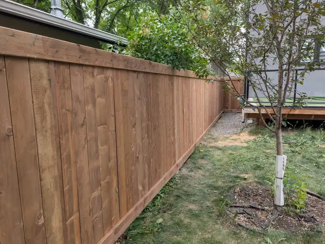 landscaping and fence - Photo 6