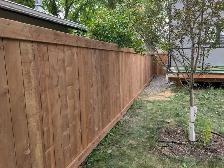 landscaping and fence - Photo 6