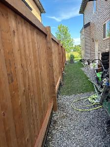 landscaping and fence - Photo 7