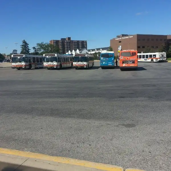 Low Price Mississauga Meadowvale Centre All Inclusive - Photo 8