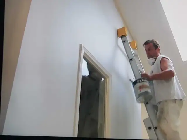 Painter/Painters helper wanted - Photo 2