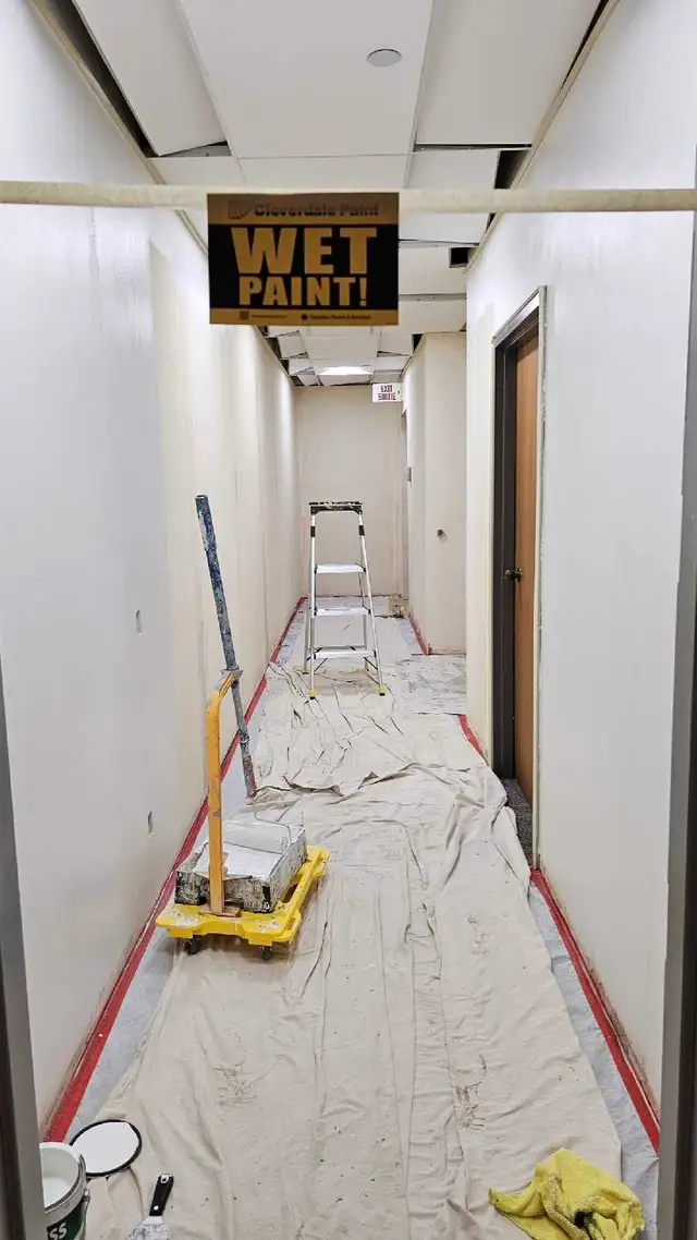 Painter/Painters helper wanted - Photo 3