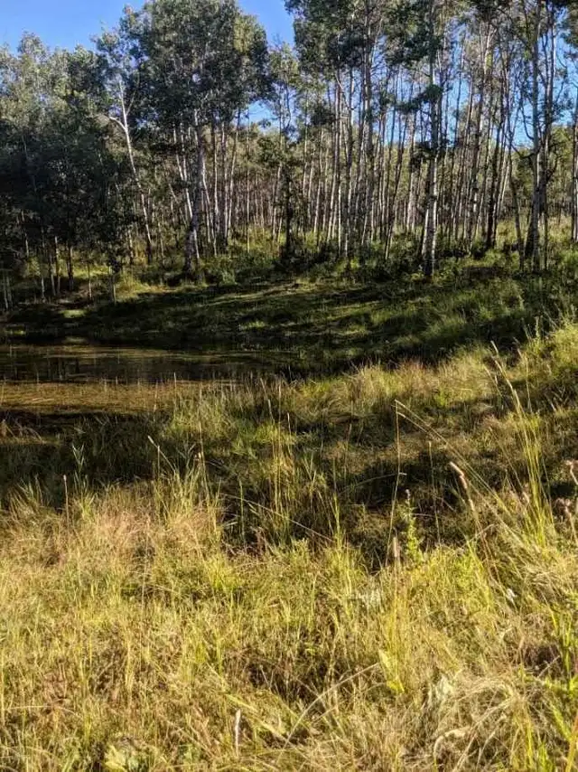 off grid living with horses - Photo 2