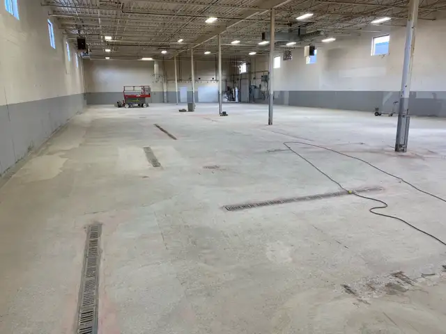 concrete grinding / floor sanding - Photo 7