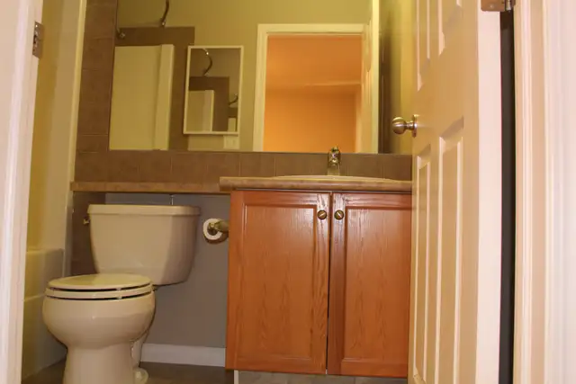 Spacious 3 Bed, 2.5 Bath Home in Terwillegar Towne - Photo 8