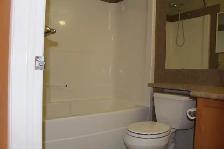 Spacious 3 Bed, 2.5 Bath Home in Terwillegar Towne - Photo 9