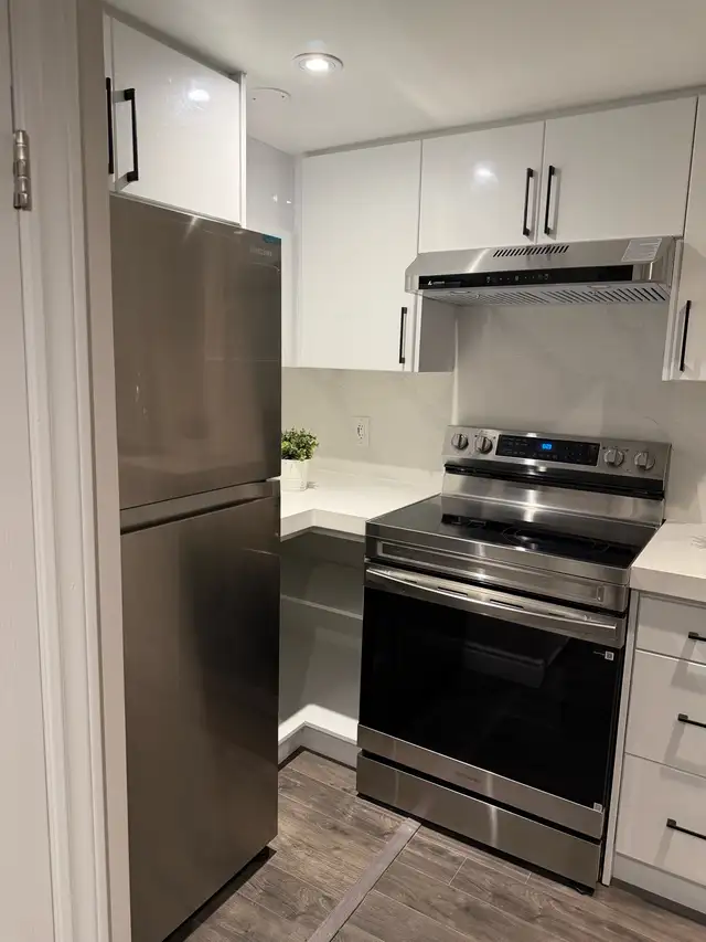 Lovely 2 Bedroom furnished walk out - Photo 9