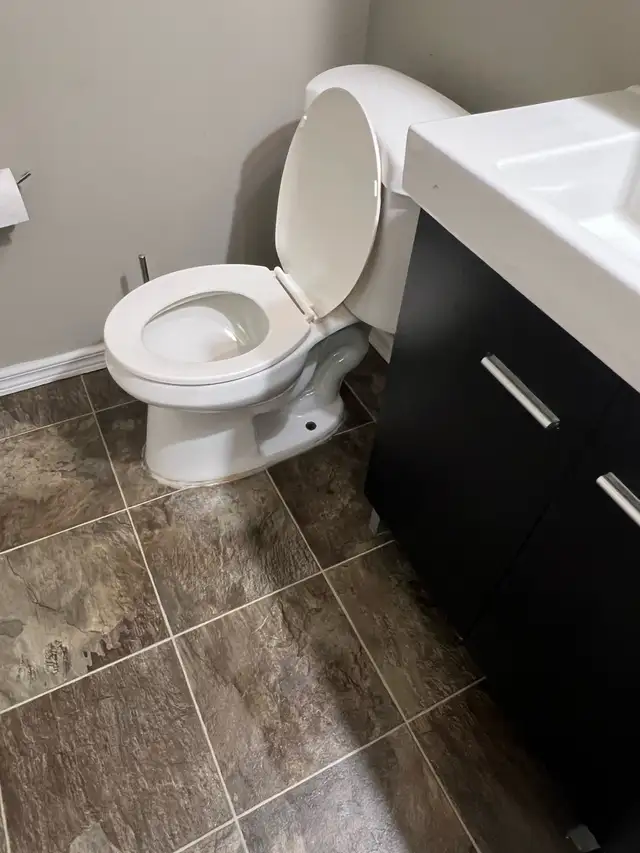 North Battleford - 3 Bedrooms House available for rent - Photo 5