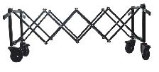 Carbon Steel Funeral Stretcher Truck Casket Mortuary Truck211068 - Photo 6