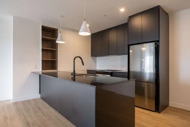 Magnifique 4 1/2 sur le chemin Ste-Foy