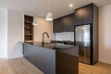 Magnifique 4 1/2 sur le chemin Ste-Foy