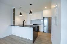 Magnifique 3 1/2 sur le chemin Ste-Foy