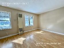 RENOVATED BACHELOR UNIT IN DOWNTOWN WINDSOR  GAS - Photo 5