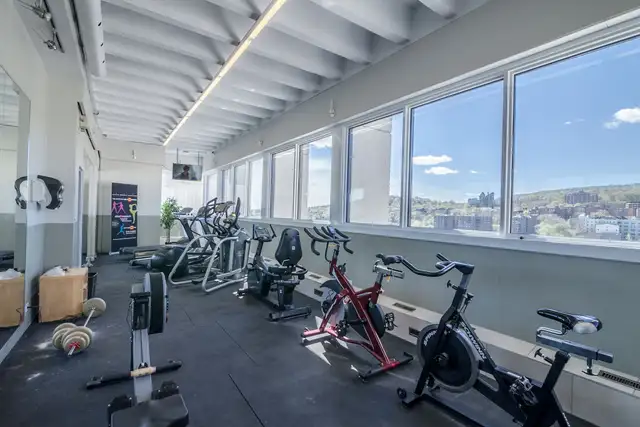 fully renovated ground floor studio apartment - ID 831 - Photo 7