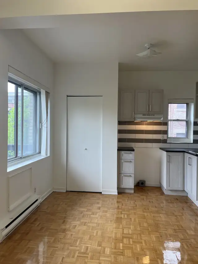 one bedroom near McGill - ID 3374 - Photo 3