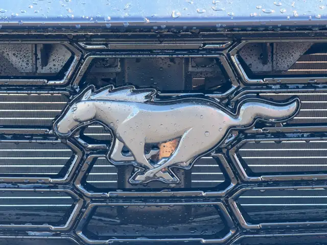 2026 Ford Mustang DARK HORSE | DARK HORSE APPEARANCE PACKAGE - Photo 5