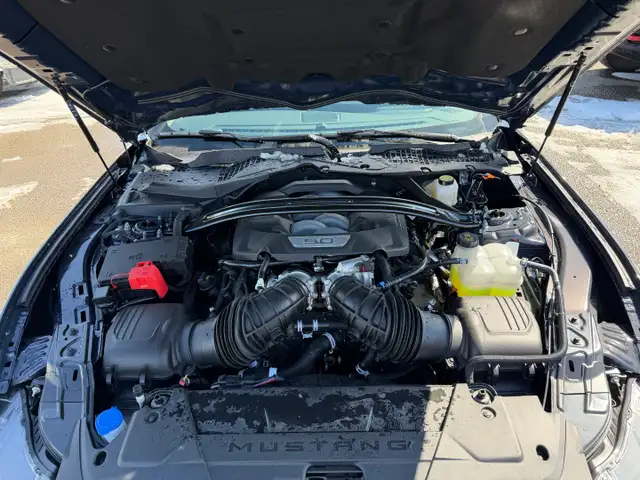 2026 Ford Mustang DARK HORSE | DARK HORSE APPEARANCE PACKAGE - Photo 31