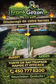Tonte de Gazon - Photo 4
