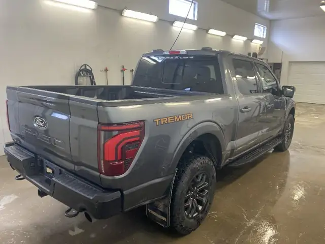 2025 Ford F-150 Tremor 4Wd Supercrew 5.5' - Photo 4