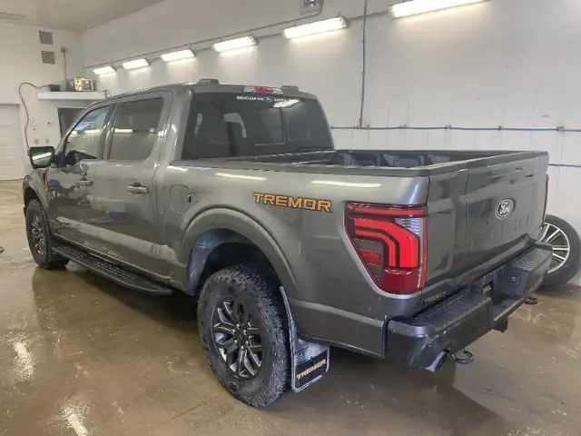 2025 Ford F-150 Tremor 4Wd Supercrew 5.5' - Photo 9