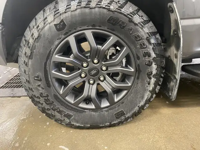 2025 Ford F-150 Tremor 4Wd Supercrew 5.5' - Photo 10