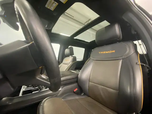 2025 Ford F-150 Tremor 4Wd Supercrew 5.5' - Photo 23