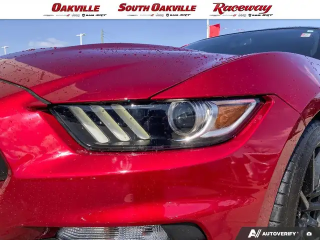 2017 Ford Mustang SHELBY GT350 | 6SPD MANUAL | CLEAN CARFAX | - Photo 8