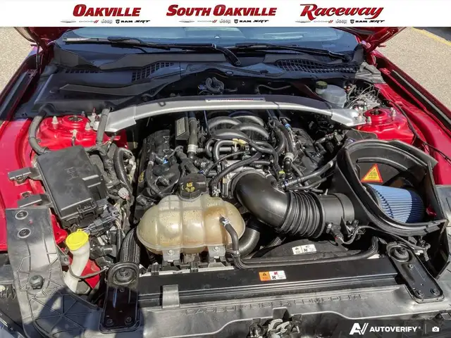 2017 Ford Mustang SHELBY GT350 | 6SPD MANUAL | CLEAN CARFAX | - Photo 10