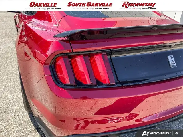 2017 Ford Mustang SHELBY GT350 | 6SPD MANUAL | CLEAN CARFAX | - Photo 11