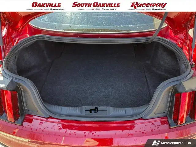 2017 Ford Mustang SHELBY GT350 | 6SPD MANUAL | CLEAN CARFAX | - Photo 12