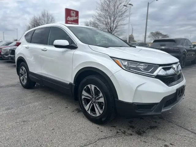 2019 Honda CR-V LX | All Wheel Drive | Low Km's | 1 Owner | No - Photo 3