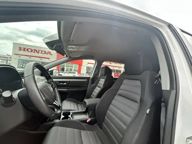 2019 Honda CR-V LX | All Wheel Drive | Low Km's | 1 Owner | No - Photo 13
