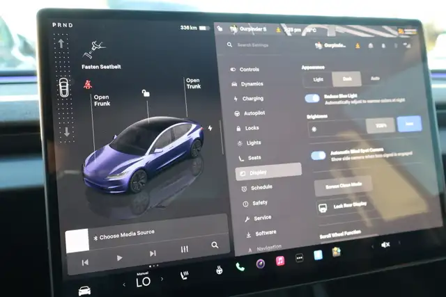 2025 Tesla Model 3 - Photo 29