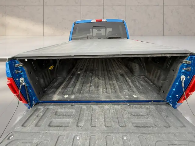 2016 Ford F-150 4WD SuperCrew XLT 145' - Photo 7